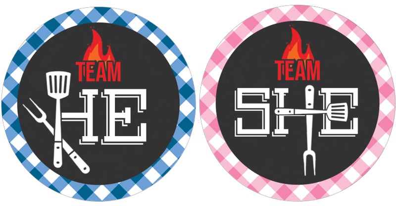 DISTINCTIVS Baby Barbecue Gender Reveal Stickers - Pink or Blue Team He or She, Boy or Girl, Baby Q BBQ Decorations - 40 Labels - Image 1